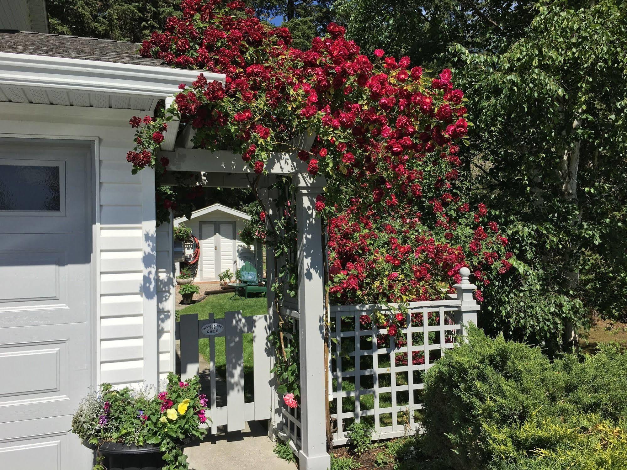 Alexandria House Bed & Breakfast West Kelowna Luaran gambar
